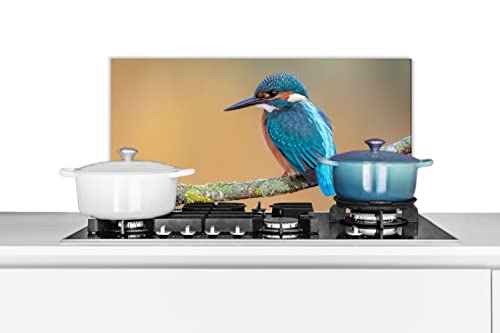 Spritzschutz Küche Küchenrückwand Alu Poster Bilder 70x30 cm Vogel - Eisvogel - Tiere - Zweig von MuchoWow