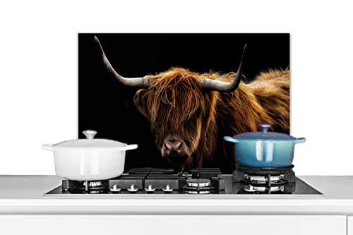 Spritzschutz Küche Küchenrückwand Alu Poster Bilder 70x50 cm Schottischer Highlander - Hörner - Schwarz - Tiere - Natur - Wild - Kuh von MuchoWow