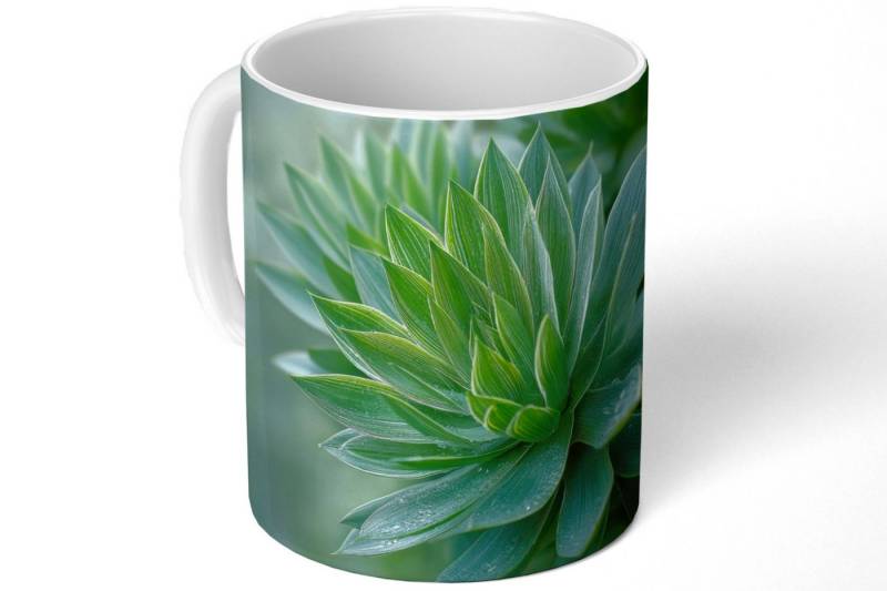 MuchoWow Tasse Blatt - Pflanze - Grün - Textur, Keramik, Kaffeetassen, Teetasse, Becher, Kaffeebecher, Geschenk MuchoWow Tasse Blatt - Pflanze - Grün - Textur, Keramik, Kaffeetassen, Teetasse, Becher, Kaffeebecher, Geschenk von MuchoWow