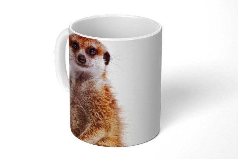 MuchoWow Tasse Erdmännchen - Tiere - Fell von MuchoWow