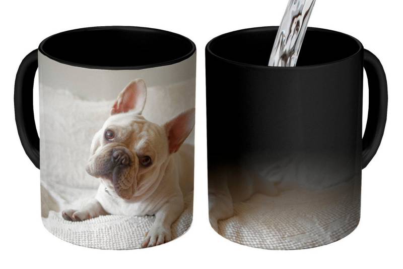 MuchoWow Tasse Französische Bulldogge - Bank - Vorleger, Keramik, Farbwechsel, Kaffeetassen, Teetasse, Zaubertasse, Geschenk von MuchoWow