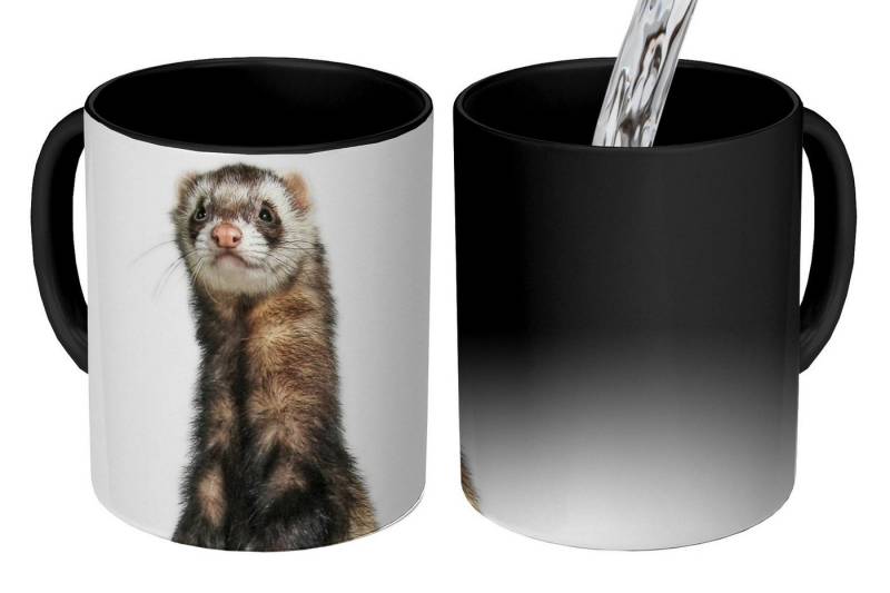 MuchoWow Tasse Frettchen - Tiere - Fell von MuchoWow