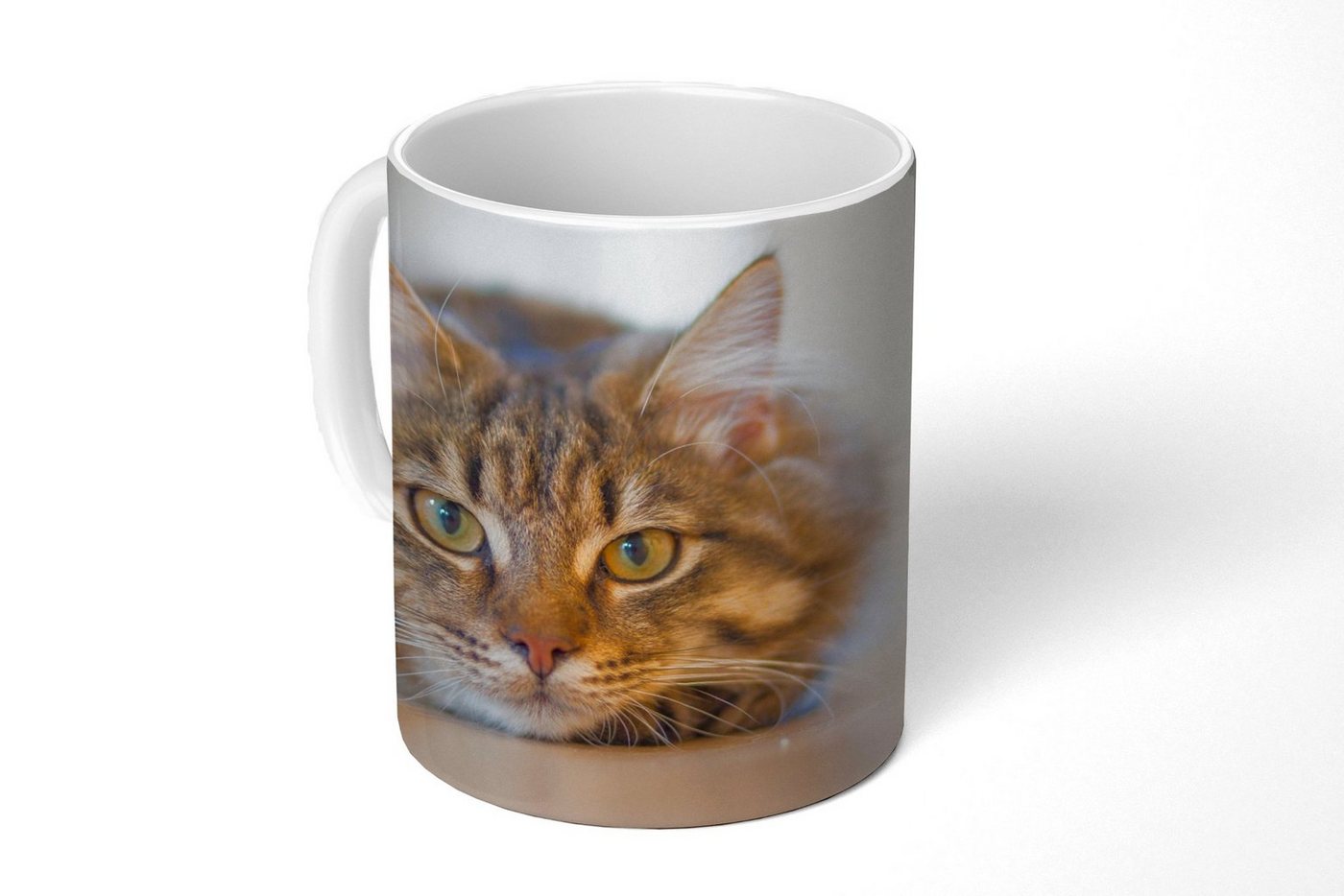 MuchoWow Tasse Katze - Fell - Augen, Keramik, Kaffeetassen, Teetasse, Becher, Teetasse, Geschenk von MuchoWow