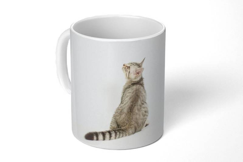 MuchoWow Tasse Katze - Haustiere - Fell von MuchoWow