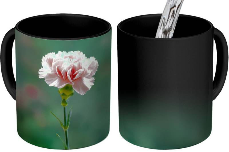 MuchoWow Tasse Nelke - Rosa - Blütenblätter, Keramik, Farbwechsel, Kaffee Tassen, Teetasse, Zaubertasse, Geschenk MuchoWow Tasse Nelke - Rosa - Blütenblätter, Keramik, Farbwechsel, Kaffee Tassen, Teetasse, Zaubertasse, Geschenk von MuchoWow