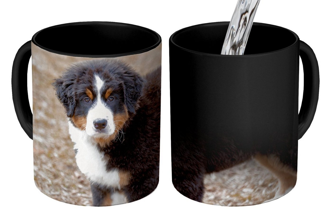MuchoWow Tasse Berner Sennenhund Welpe am Morgen, Keramik, Farbwechsel, Kaffee Tassen, Teetasse, Zaubertasse, Geschenk MuchoWow Tasse Berner Sennenhund Welpe am Morgen, Keramik, Farbwechsel, Kaffee Tassen, Teetasse, Zaubertasse, Geschenk von MuchoWow