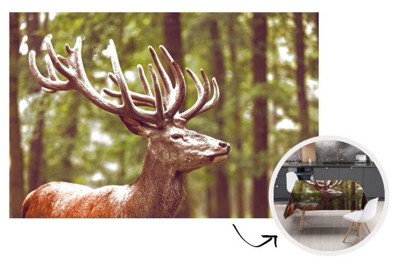 MuchoWow Tischdecke Hirsch - Natur - Geweih - Wald - Tiere, Gartentischdecke, Tischdecke indoor, Wetterfest, Deko, 200x130 cm von MuchoWow