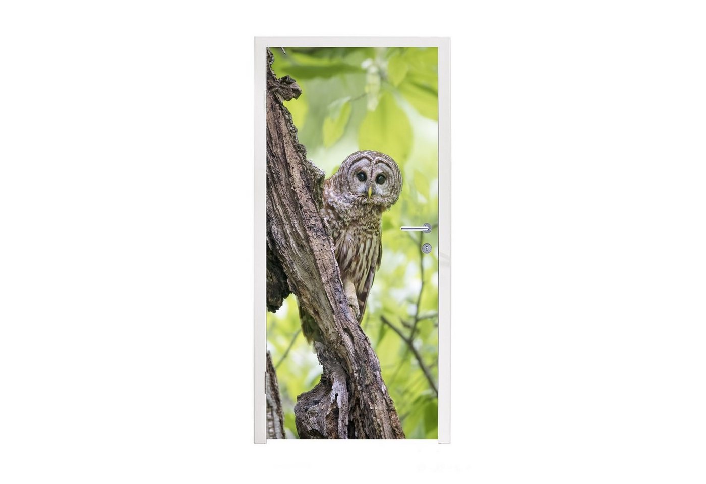MuchoWow Türtapete Eule - Wald - Licht, Matt, bedruckt, (1 St), Fototapete für Tür, Türaufkleber, 75x205 cm von MuchoWow