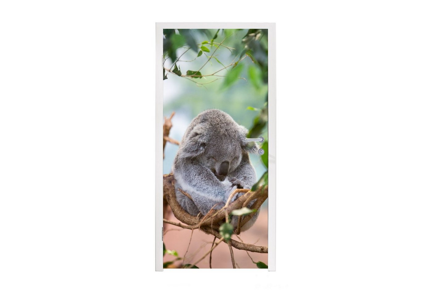 MuchoWow Türtapete Koala - Zweige - Kinder - Jungen - Mädchen, Matt, bedruckt, (1 St), Fototapete für Tür, Türaufkleber, 75x205 cm von MuchoWow