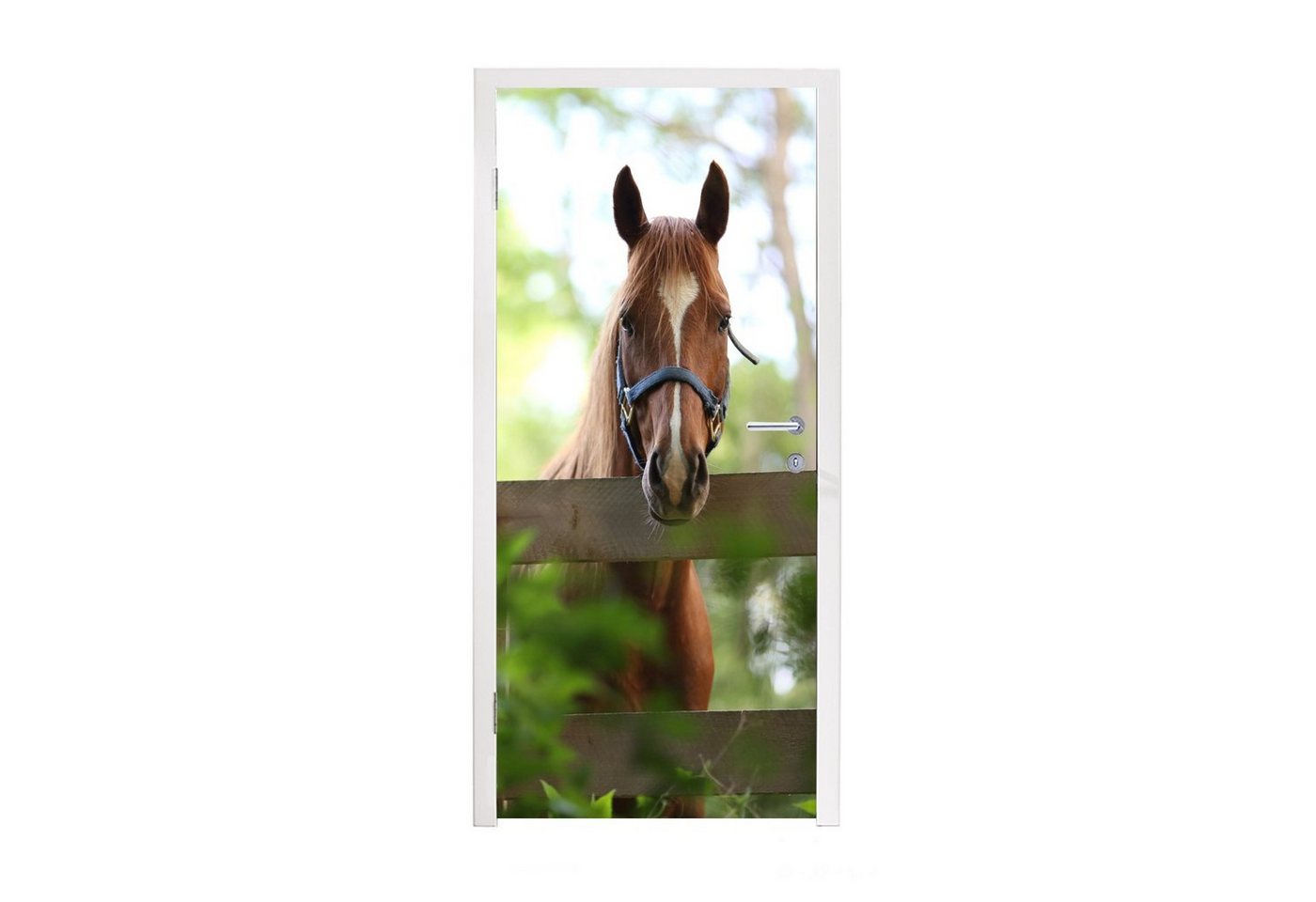 MuchoWow Türtapete Pferd - Natur - Zaun, Matt, bedruckt, (1 St), Fototapete für Tür, Türaufkleber, 75x205 cm von MuchoWow