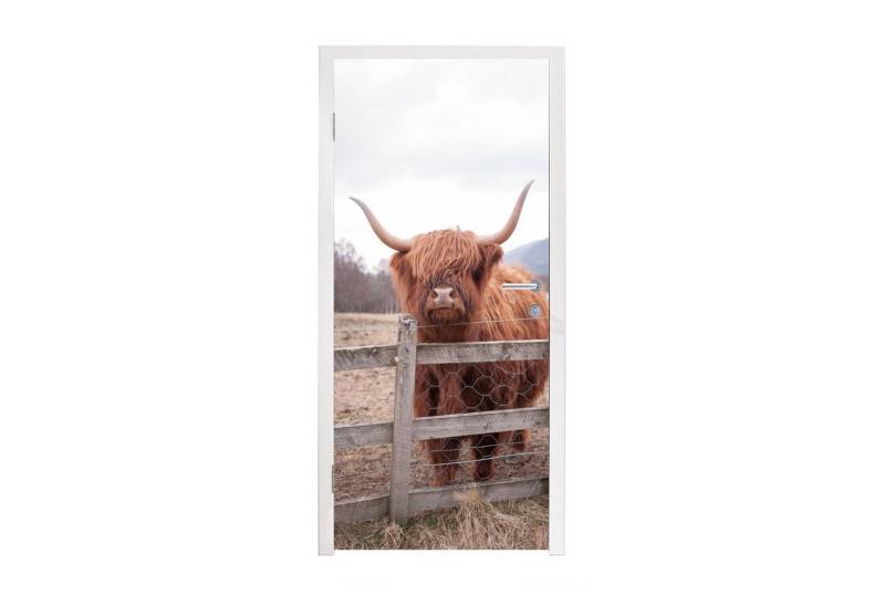 MuchoWow Türtapete Scottish Highlander - Gras - Zaun, Matt, bedruckt, (1 St), Selbstklebende Tapete, Folie für Möbel, 75x205 cm von MuchoWow