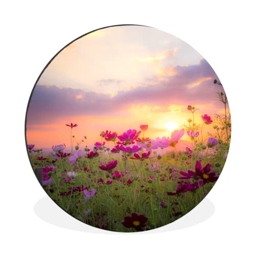 MuchoWow Wandbild Rund Wanddeko Deko Wohnzimmer Bilder 30x30 cm Sonnenuntergang - Blumen - Rosa - Natur - Grün MuchoWow Wandbild Rund Wanddeko Deko Wohnzimmer Bilder 30x30 cm Sonnenuntergang - Blumen - Rosa - Natur - Grün von MuchoWow