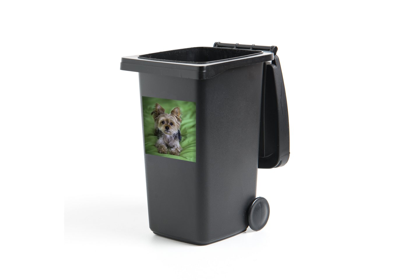 MuchoWow Wandsticker Ein Yorkshire Terrier liegt auf einem grünen Kissen (1 St), Mülleimer-aufkleber, Mülltonne, Sticker, Container, Abfalbehälter von MuchoWow