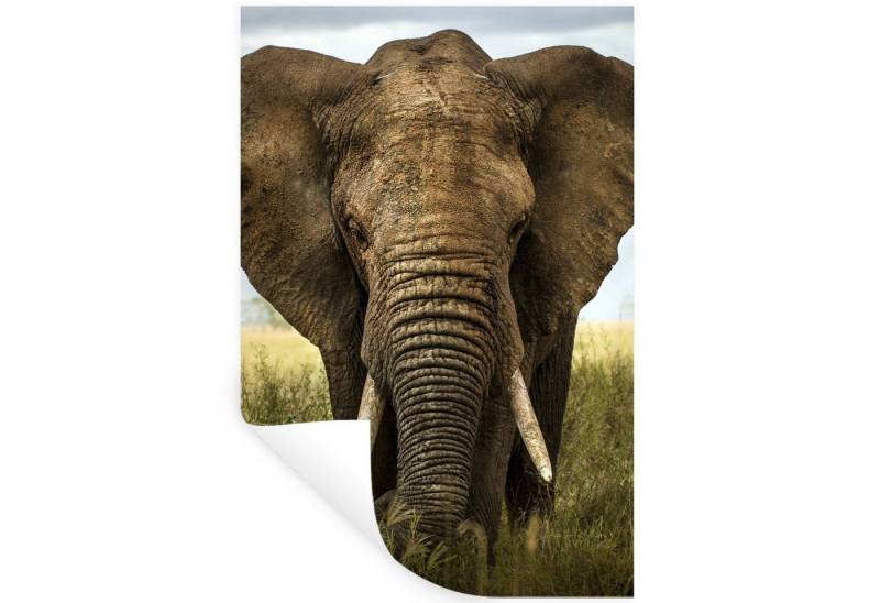 MuchoWow Wandsticker Elefant - Natur - Gras - Tiere - Landschaft (1 St), Wandaufkleber, Selbstklebend, Wohnzimmer, 20x30 cm von MuchoWow