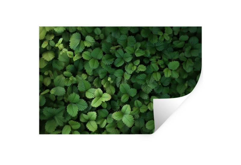 MuchoWow Wandsticker Grün - Blatt - Gezackt - Sonnenlicht (1 St), Wandtattoo, Selbstklebend, Wohnzimmer, 30x20 cm von MuchoWow