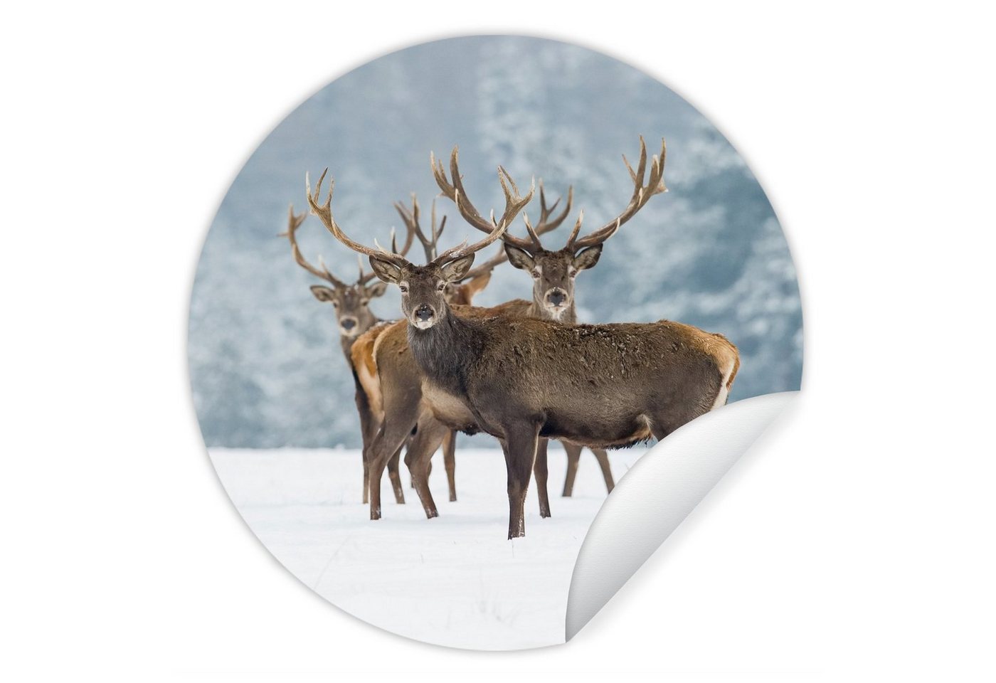 MuchoWow Wandsticker Hirsche - Tiere - Schnee - Winter - Landschaft - Natur (1 St), Wandtattoo Selbstklebend, Wohnzimmer Deko Aufkleber, 30x30 cm von MuchoWow