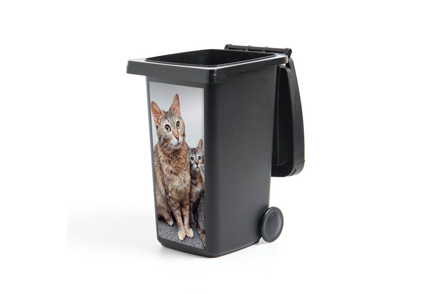 MuchoWow Wandsticker Katze - Kätzchen - Fell (1 St), Mülleimer-aufkleber, Mülltonne, Sticker, Container, Abfalbehälter von MuchoWow