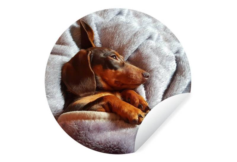 MuchoWow Wandsticker Niedlicher Dackel liegt unter der Bettdecke (1 St), Wandtattoo Selbstklebend, Wohnzimmer Deko Aufkleber, 30x30 cm von MuchoWow