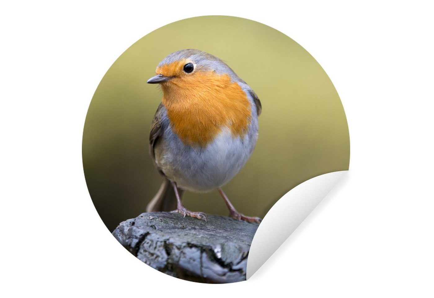 MuchoWow Wandsticker Pfahl - Rotkehlchen - Natur (1 St), Wandtattoo Selbstklebend, Wohnzimmer Deko Aufkleber, 30x30 cm von MuchoWow