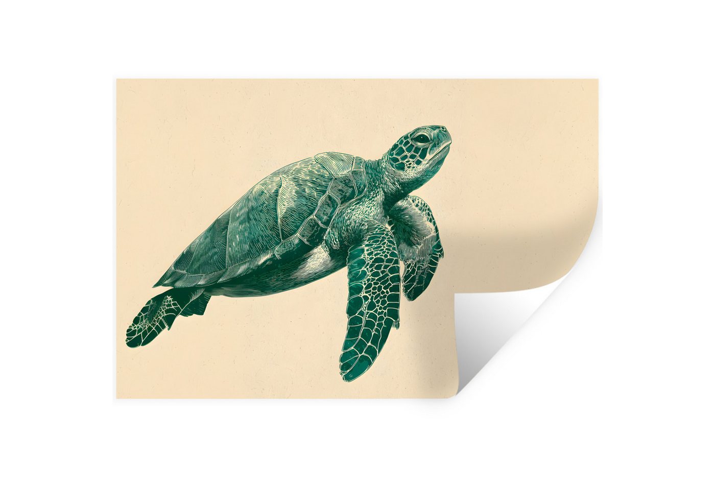 MuchoWow Wandsticker Schildkröte - Elegant - Grün - Schild (1 St), Wandtattoo, Selbstklebend, Wohnzimmer, 30x20 cm von MuchoWow