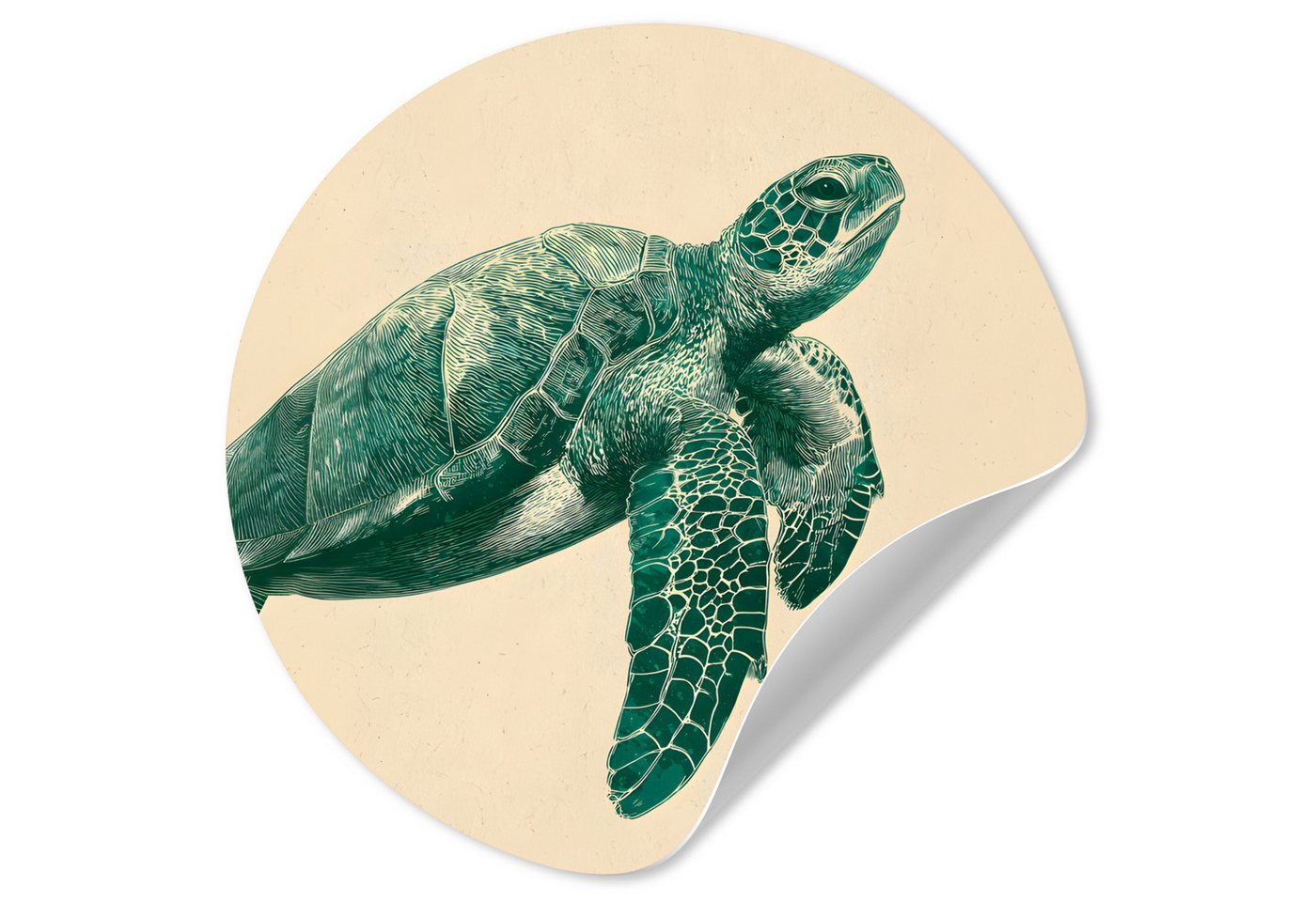 MuchoWow Wandsticker Schildkröte - Elegant - Grün - Schild (1 St), Wandtattoo Selbstklebend, Wohnzimmer Deko Aufkleber, 30x30 cm von MuchoWow