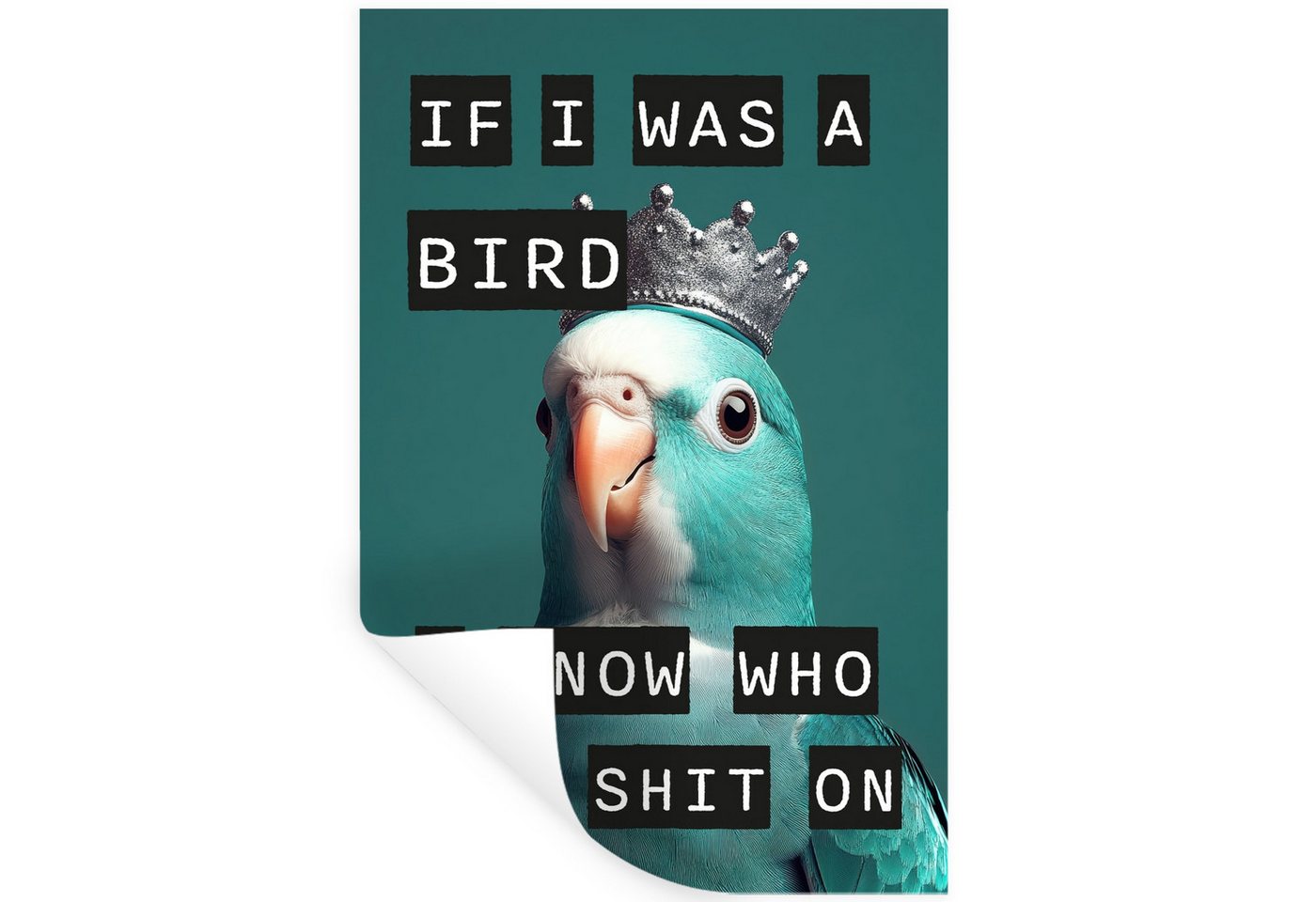 MuchoWow Wandsticker Sittich - Türkis - Zitate - Dekoration (1 St), Wandaufkleber, Selbstklebend, Wohnzimmer, 20x30 cm von MuchoWow