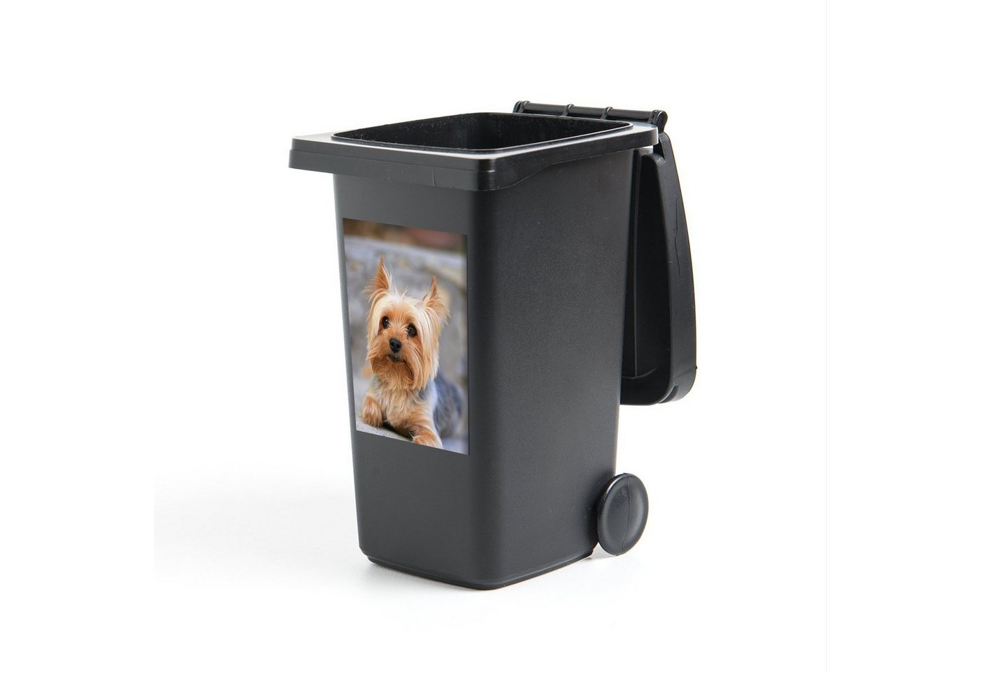MuchoWow Wandsticker Yorkshire Terrier liegt bequem auf dem weichen Teppich (1 St), Mülleimer-aufkleber, Mülltonne, Sticker, Container, Abfalbehälter von MuchoWow