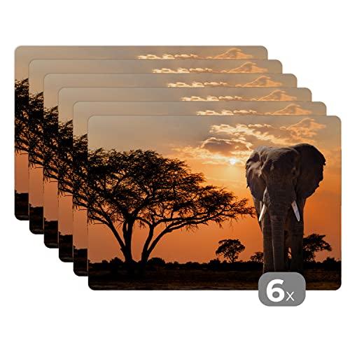 Placemats Platzdeckchen Platzset Tischset 6-teilig Tischdeko Untersetzer 45x30 cm Elefant - Baum - Afrika von MuchoWow