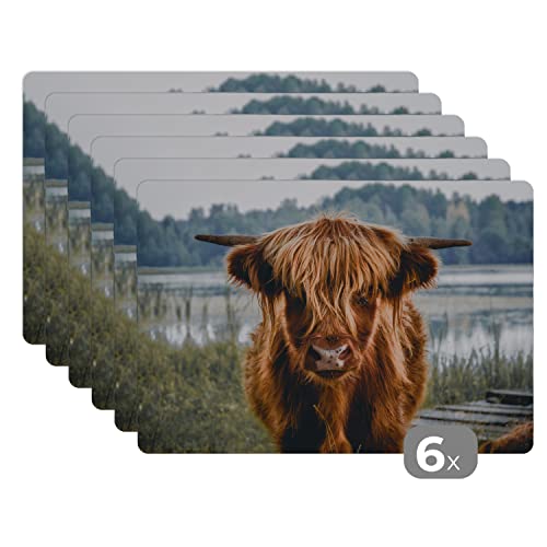 Placemats Platzdeckchen Platzset Tischset 6-teilig Tischdeko Untersetzer 45x30 cm Kühe - Schottische Hochlandbewohner - Braun - Natur Placemats Platzdeckchen Platzset Tischset 6-teilig Tischdeko Untersetzer 45x30 cm Kühe - Schottische Hochlandbewohner - Braun - Natur von MuchoWow