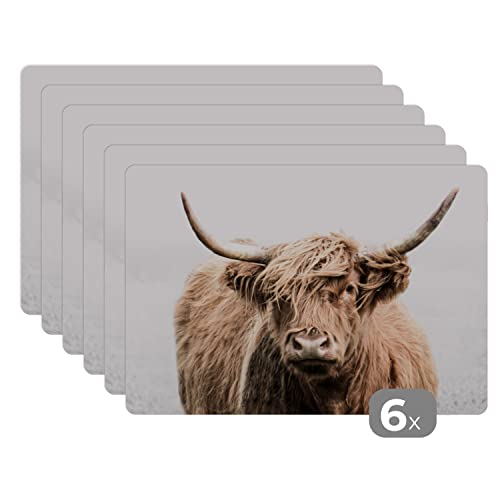 Placemats Platzdeckchen Platzset Tischset 6-teilig Tischdeko Untersetzer 45x30 cm Schottischer Highlander - Tiere - Fell von MuchoWow