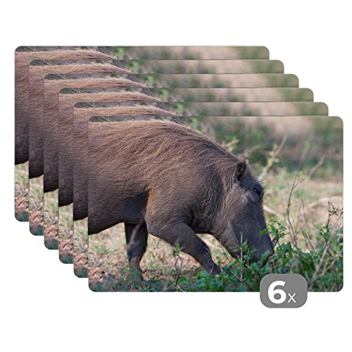 Placemats Platzdeckchen Platzset Tischset 6-teilig Tischdeko Untersetzer 45x30 cm Schwein - Wildschwein - Wild von MuchoWow