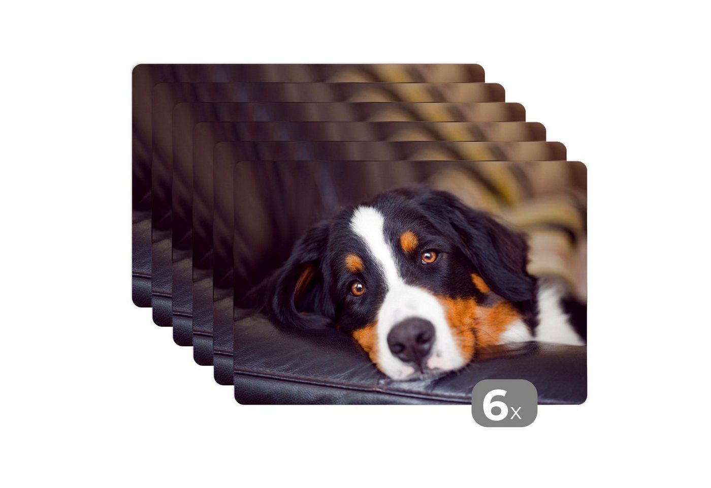MuchoWow Platzset Ein Berner Sennenhund liegt auf dem Sofa, (6-St), Platzset, Platzdecken, Platzmatte, Tischmatten, Schmutzabweisend von MuchoWow