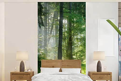 Selbstklebend Tapete Wandpapier Wandaufkleber Fototapete Tapeten Wanddeko 120x240 cm Natur - Bäume - Wald - Grün - Sonne - Gras - Pflanzen von MuchoWow
