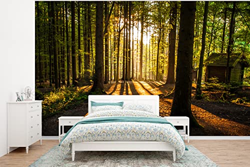 Selbstklebend Tapete Wandpapier Wandaufkleber Fototapete Tapeten Wanddeko 295x220 cm Sonne - Bäume - Wald - Landschaft - Natur von MuchoWow