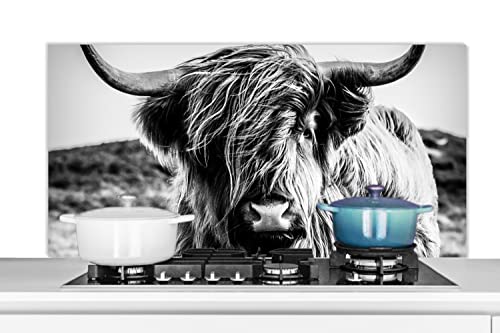 Spritzschutz Küche Küchenrückwand Alu Poster Bilder 120x60 cm Schottischer Highlander - Natur - Kuh - Schwarz - Weiß von MuchoWow
