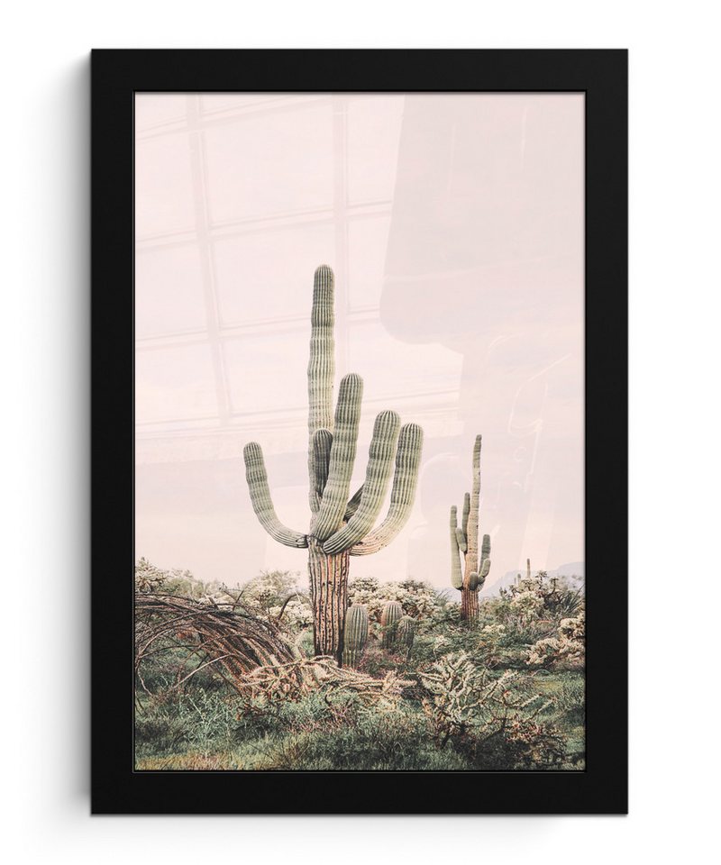 MuchoWow Poster Kaktus - Grün - Natur - Pflanzen, (1 St), Bilderrahmen, Zimmer Deko, Bild für Wohnzimmer, 20x30 cm von Muchowow