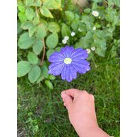Lila Blumen, Handgemachte Keramikblumen, Einweihungsparty, Gartendeko, Künstliche Blume, Gänseblümchen, Sonnenblume, Weihnachtsgeschenk von MuddyCeramicArt