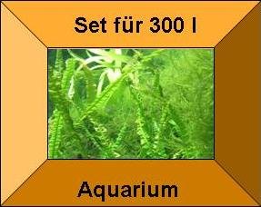 Mühlan Topartikel- 15 Töpfe + 15 Bund Wasserpflanzen, Aquarienpflanze, Komplettbepflanzung für größere Aquarien von Mühlan Wasserpflanzen