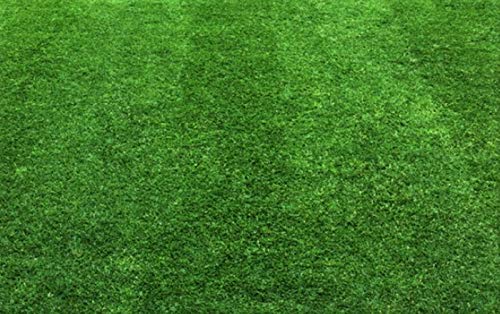 25 kg Rasensand Gartensand Rasenpflege lehmfrei Düngehilfsstoff Körnung 0,8-1,6 mm von Anbobo