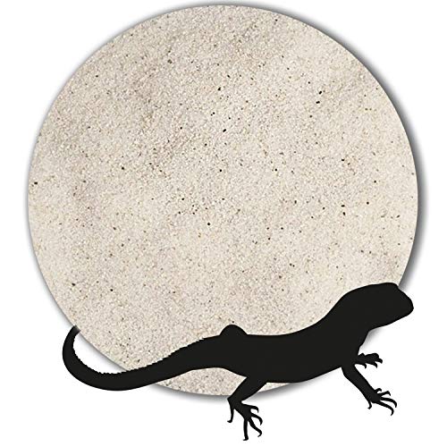 Anbobo 25 kg Terrariensand Terrariumsand Terrarienkies Natur weiß große Auswahl (0,1-0,3 mm) von Anbobo