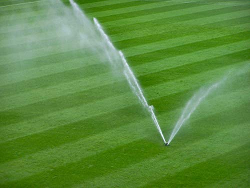 Rasensand 25kg Quarzsand Gartensand 0,8-1,6mm papierverpackt von Anbobo