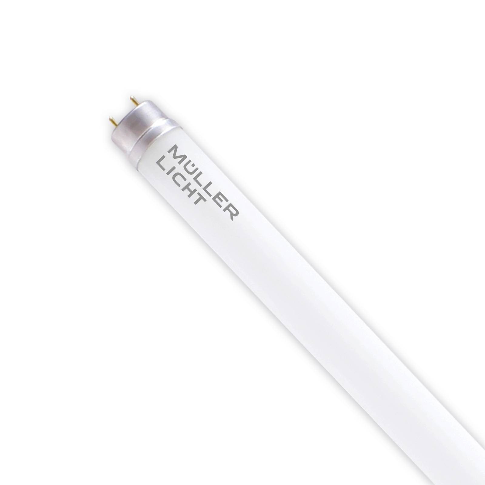 LED-Leuchtmittel Röhre G13 21,8W, 150cm, 4.000K 3.500lm, EVG von Müller-Licht