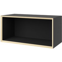 Müller Small Living - Vertiko Fourteen Regalelement, schwarz matt von Müller Small Living