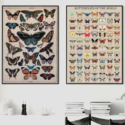 Muholin 2 Poster Leinwanddruck Home Wohnzimmer Schlafzimmer Eingang Bar Cafe Art Vintage Schmetterling und Insekten Sammlung Diagramm Poster 60x80cmx2 ohne Rahmen Muholin 2 Poster Leinwanddruck Home Wohnzimmer Schlafzimmer Eingang Bar Cafe Art Vintage Schmetterling und Insekten Sammlung Diagramm Poster 60x80cmx2 ohne Rahmen von Muholin