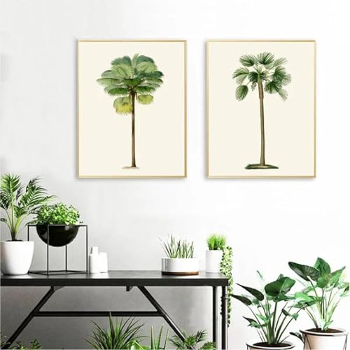 Vintage-Illustrationen Poster Palmen Botanische tropische Palme Wandkunst Leinwand Malerei Bilder Home Decor Kunst Poster 50x70cmx2 ohne Rahmen Vintage-Illustrationen Poster Palmen Botanische tropische Palme Wandkunst Leinwand Malerei Bilder Home Decor Kunst Poster 50x70cmx2 ohne Rahmen von Muholin