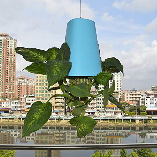 Sky Planter Recycled Medium Upside Down Sky Pflanztopf Keramik Wand Pflanzgefäße Dekorative Pflanzentöpfe Vase für den Innen- und Außenbereich für Balkon Garten Wohnkultur (Blau) von Muium(TM)