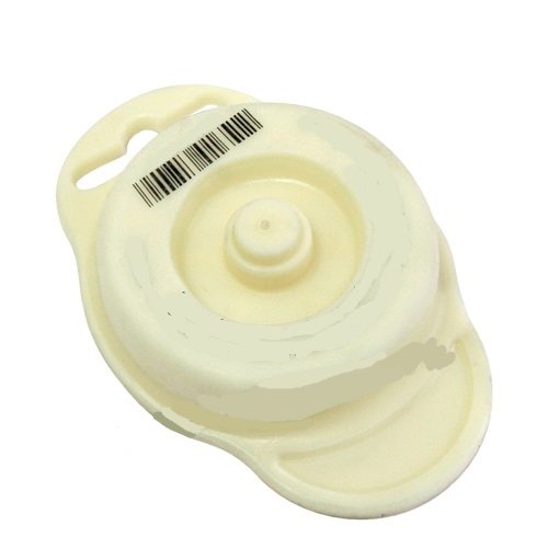 GUMMIKAPPE FÜR GLASBALLON WEINBALLON Ø 57 mm STOPFEN KORKEN GÄRRÖHRCHEN NEU KB57 von MultiDepot