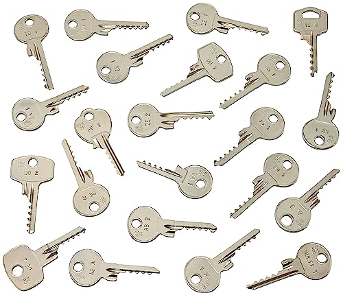 MULTIPICK Schlagschlüssel Set [22 Teile] Schlagschlüssel für alle Schlösser mit Online-Anleitung - Türöffnungswerkzeug - Türöffner, Schlüsseldienst Werkzeug Set - Türöffnung von Multipick
