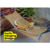 Reptil Hängebrücke | Reptilien Hängematte Reptilienschaukel Bartagame Leopardgecko Anpassbare Größe Reptil Hängebrücke | Reptilien Hängematte Reptilienschaukel Bartagame Leopardgecko Anpassbare Größe von MulyaCollections