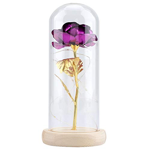 Duokon Konservierte Rose Flower LED-Lampe mit Glasabdeckung und Holzsockel für Valentines'Day-Hochzeitsgeschenk(Lila) Item Name (aka Title) von Mumusuki